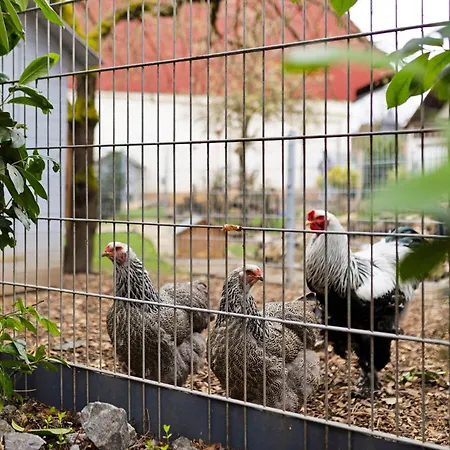 Apartmán Stub'n Herbert