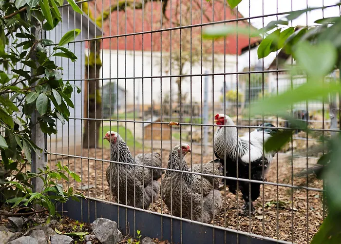 아파트 Stub'n Herbert